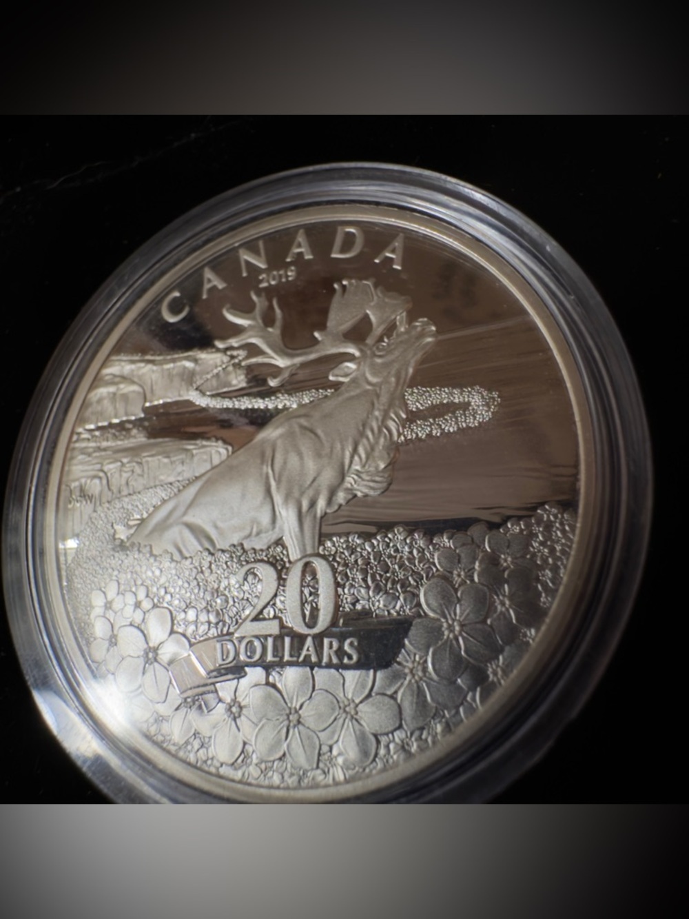 2019 Forget-Me-Not Flowers $20 1OZ Silver Proof Coin Canada Newfoundland Caribou - Picture 3 of 5